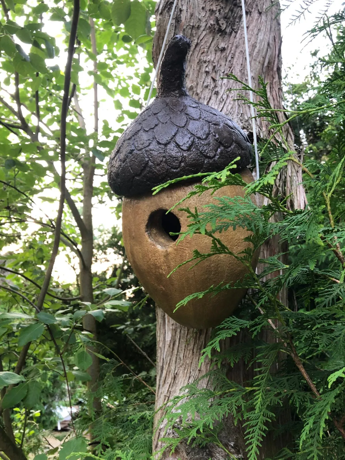 Funktionales Vogelhaus aus glasiertem Beton in Form einer Eichel